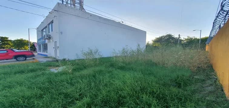 Galería 2