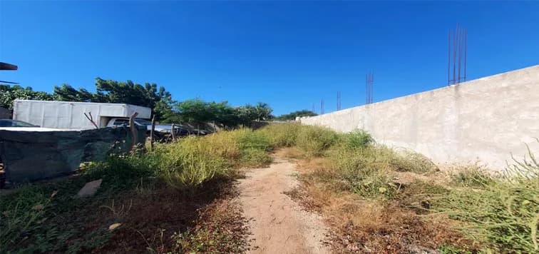 Galería 5