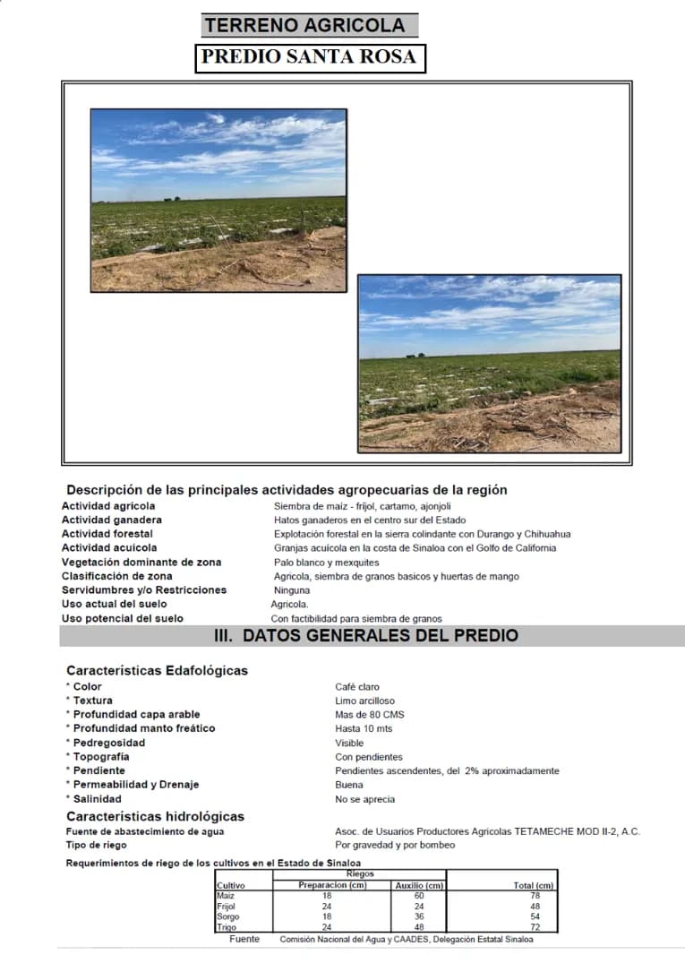 Galería 6