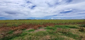 13_2692 | En Venta excelente Predio Agrícola, San Miguel Zapotitlán. | Realhaus